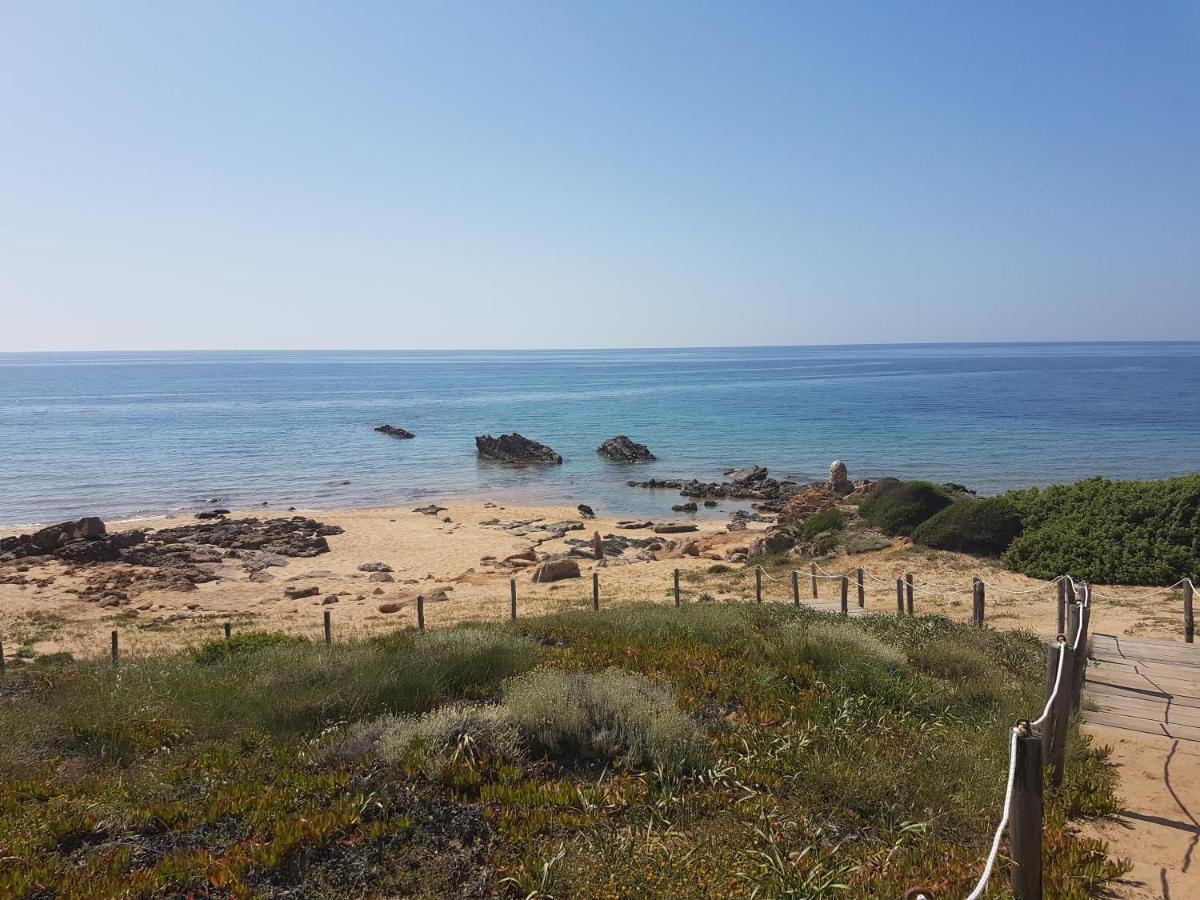 Terrazze Al Mare Daire Torre dei Corsari Dış mekan fotoğraf